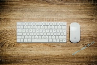 表格公式太复杂？WPS一键搞定超省心，wps表格公式太多,运行太慢怎么办 ~ WPS官网下载-WPS官网下载