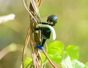 Excel的动态筛选和分析实用技巧，excel动态数据选取-WPS官网下载